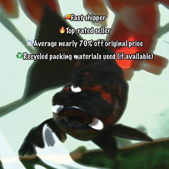 🌸4/$20🌸Nokia HS-5 headset and Euro charger - Picture 11 of 11